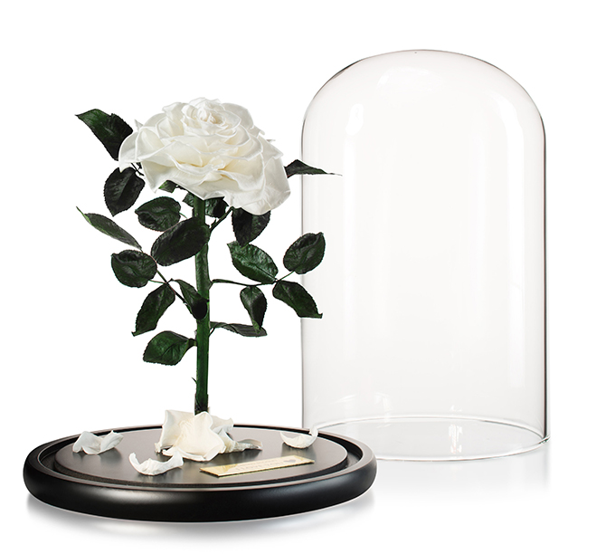 Christmas is fast approaching and if you’re anything like us, then you probably haven’t started shopping! No need to fear, we have put together 5 lust haves that are personal, unique and ideal for gifting the ones you love. Oh, and we totally understand if you end up buying them all for yourself! We’re lusting over them too.