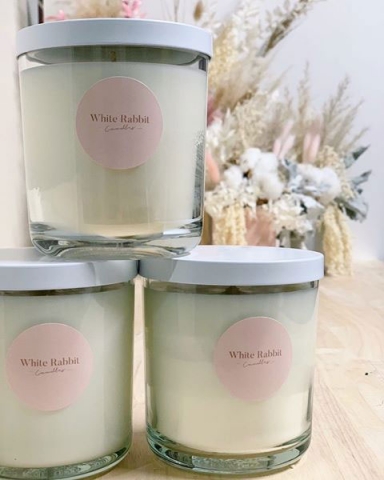 whiterabbit2